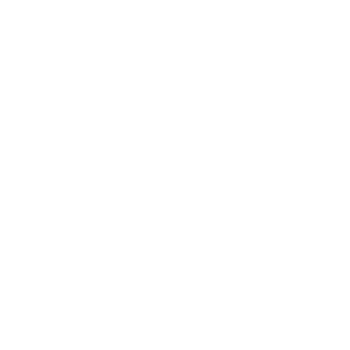 Speed Group